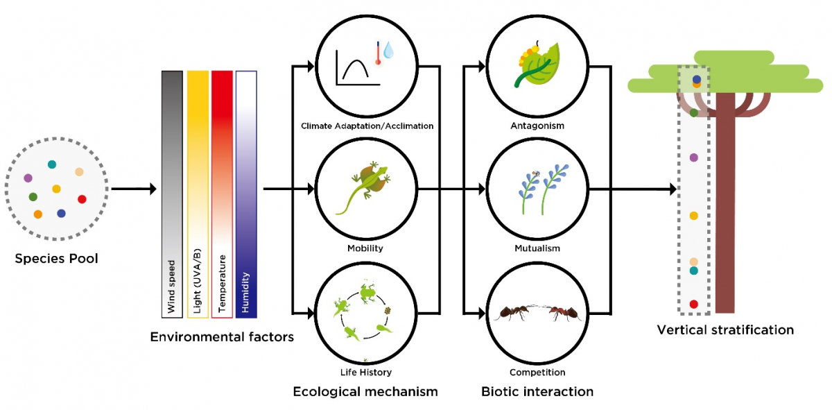 image-20230115161328-2
