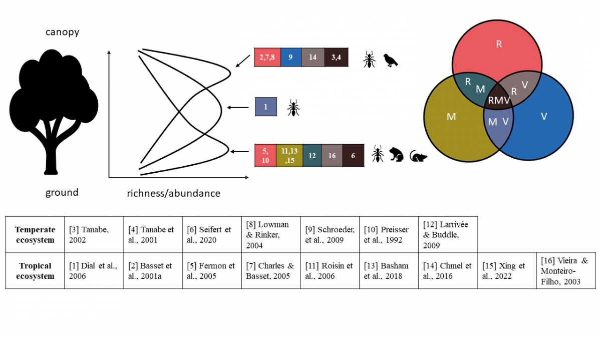 image-20230115161328-3