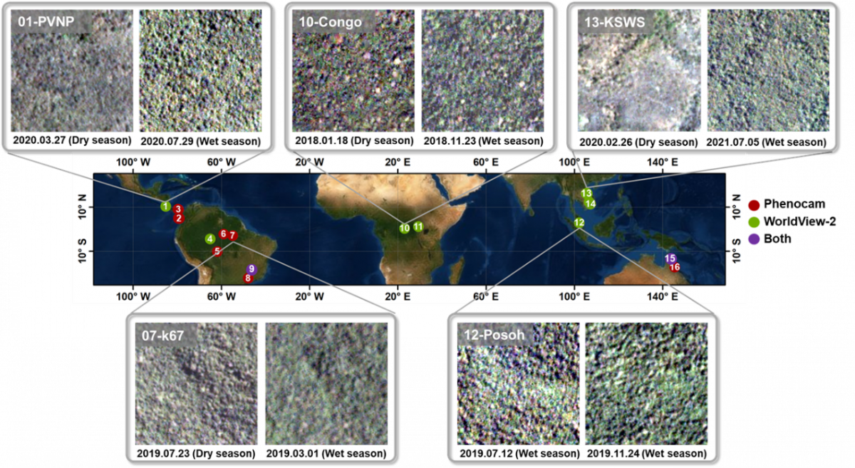 image-20230118114112-1