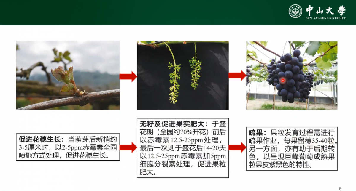 image-20230118232007-2