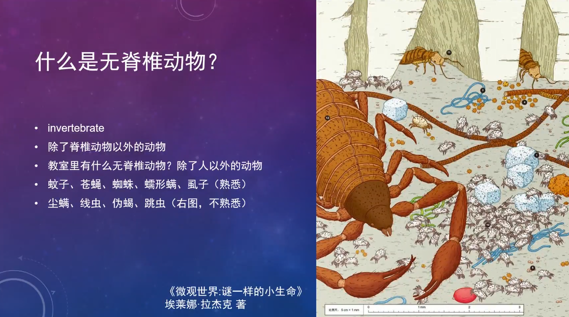 image-20230118232007-5