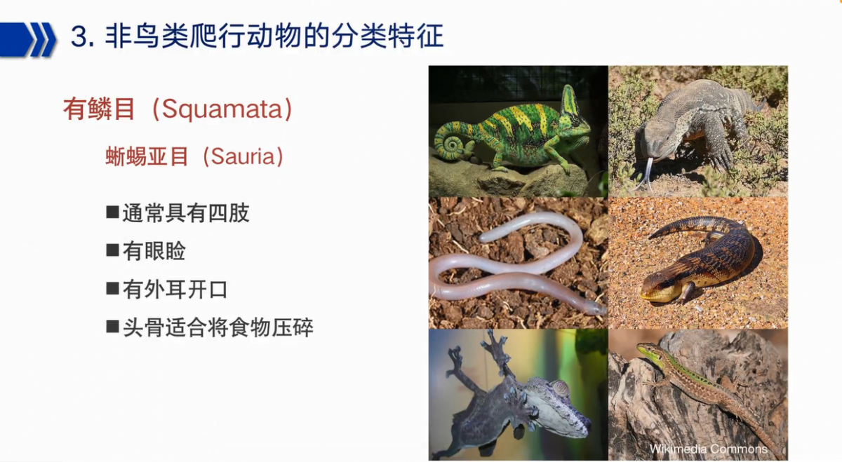 image-20230118232007-6