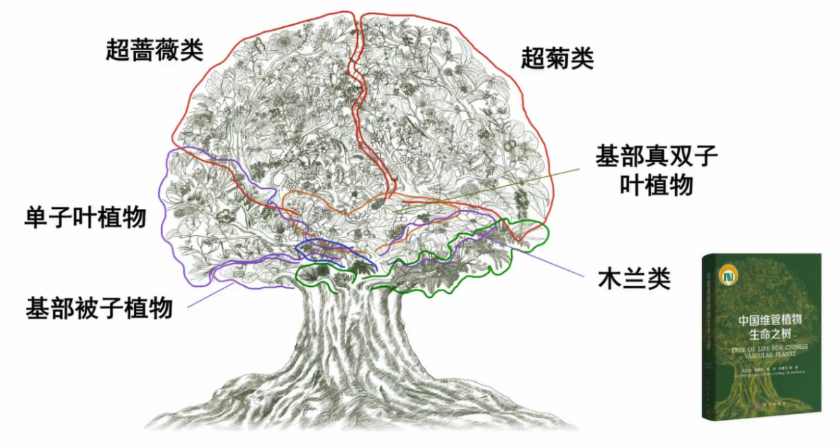 image-20230118232007-7