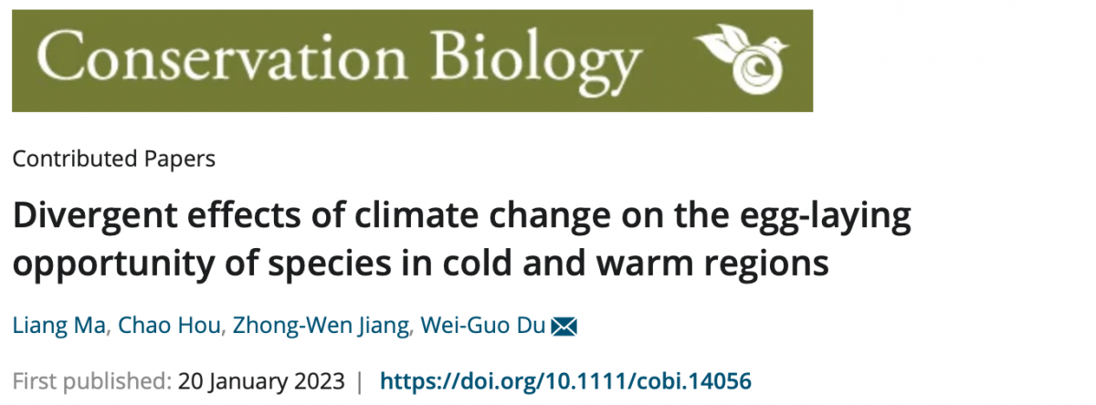 image-20230125135340-1