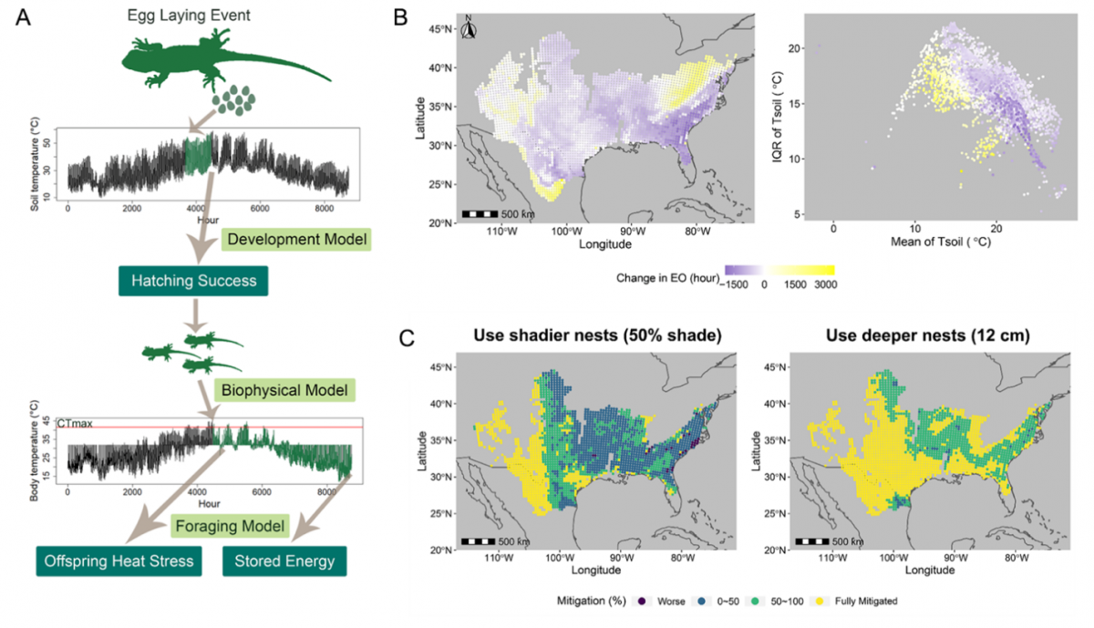 image-20230125135340-2