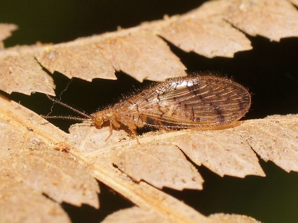 image-20230217172032-1