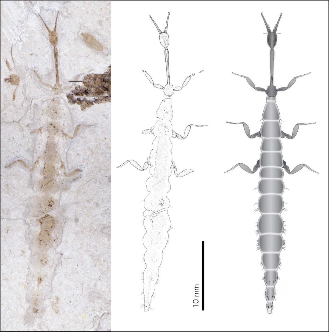 image-20230217172032-2