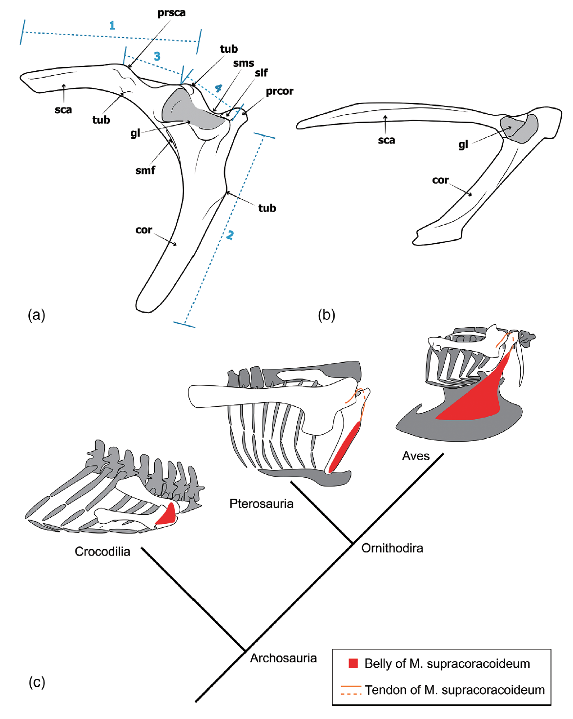 image-20230222164606-3