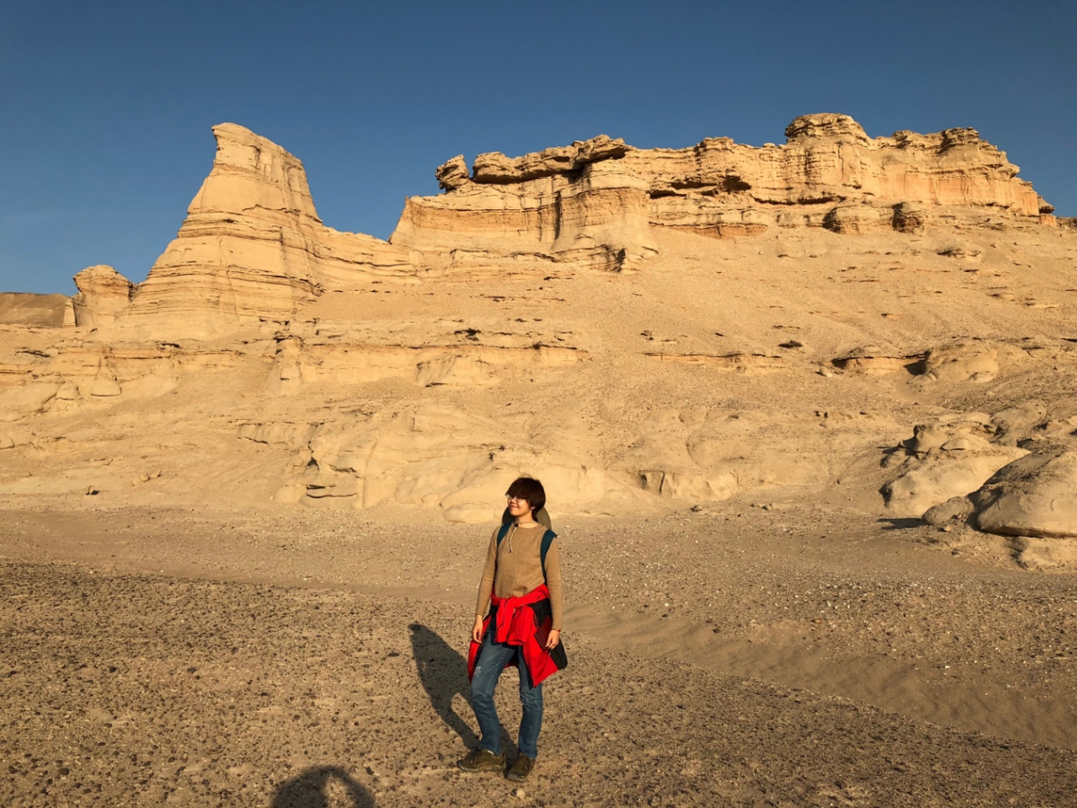 image-20230222164606-4