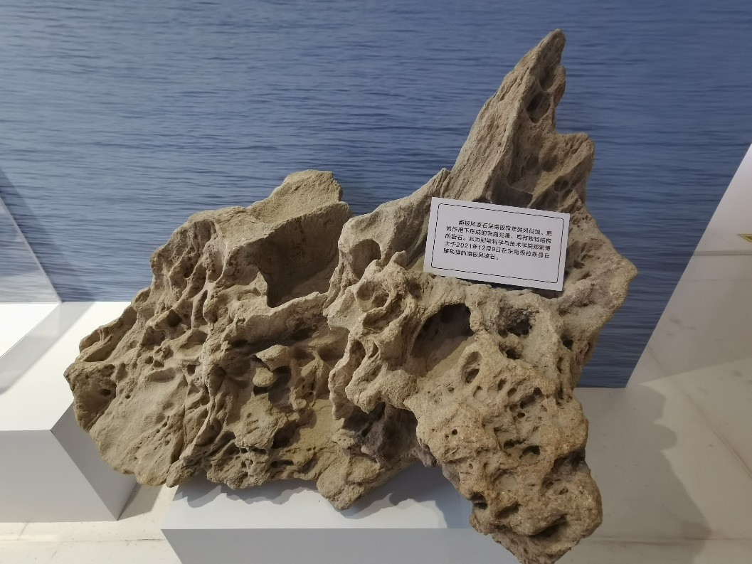 image-20230308112005-3