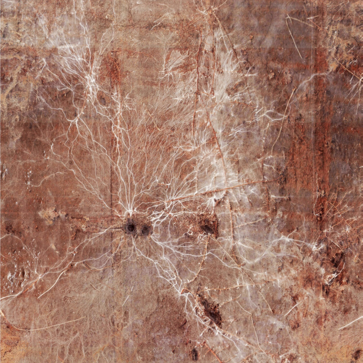 image-20230313114218-1