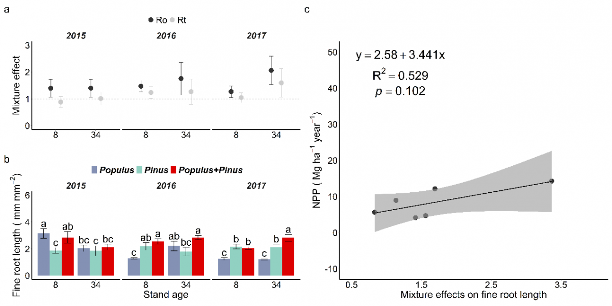image-20230313114218-2