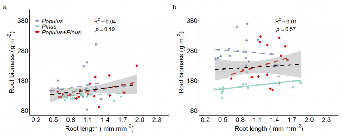 image-20230313114218-5