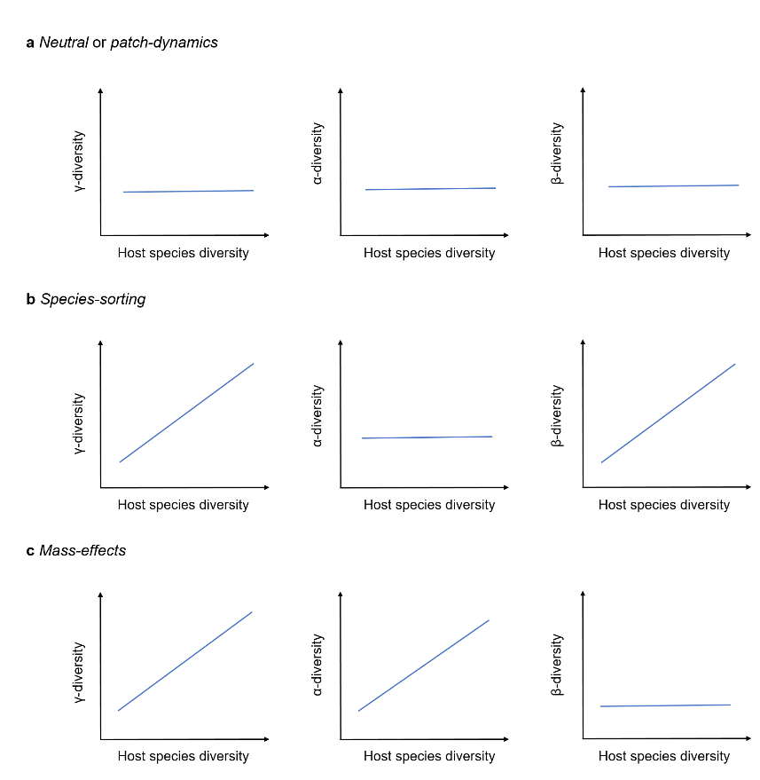 image-20230317094215-1