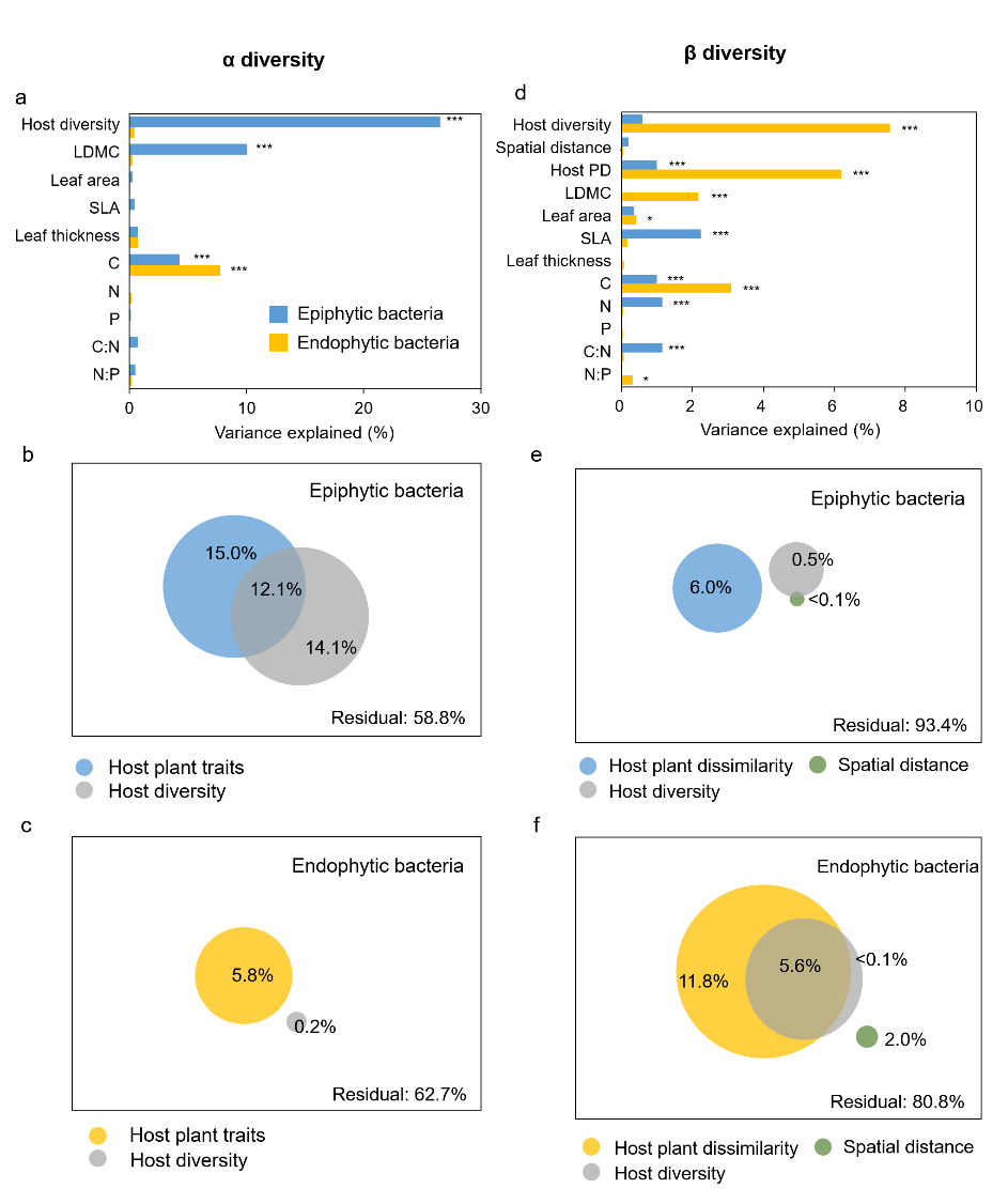 image-20230317094216-3