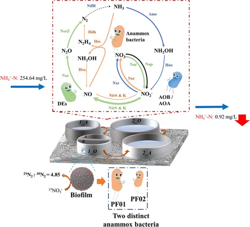 image-20230317115950-1