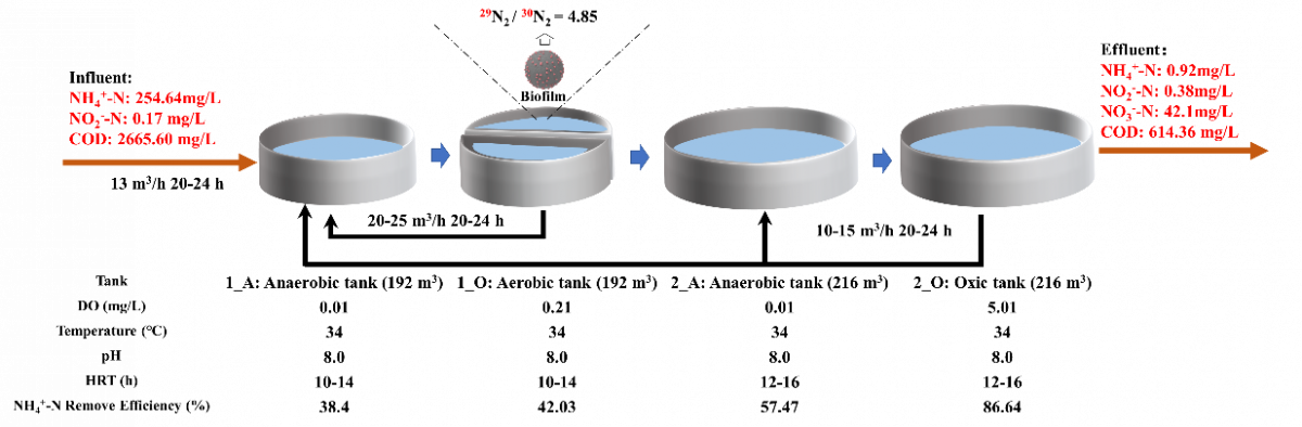 image-20230317115950-2