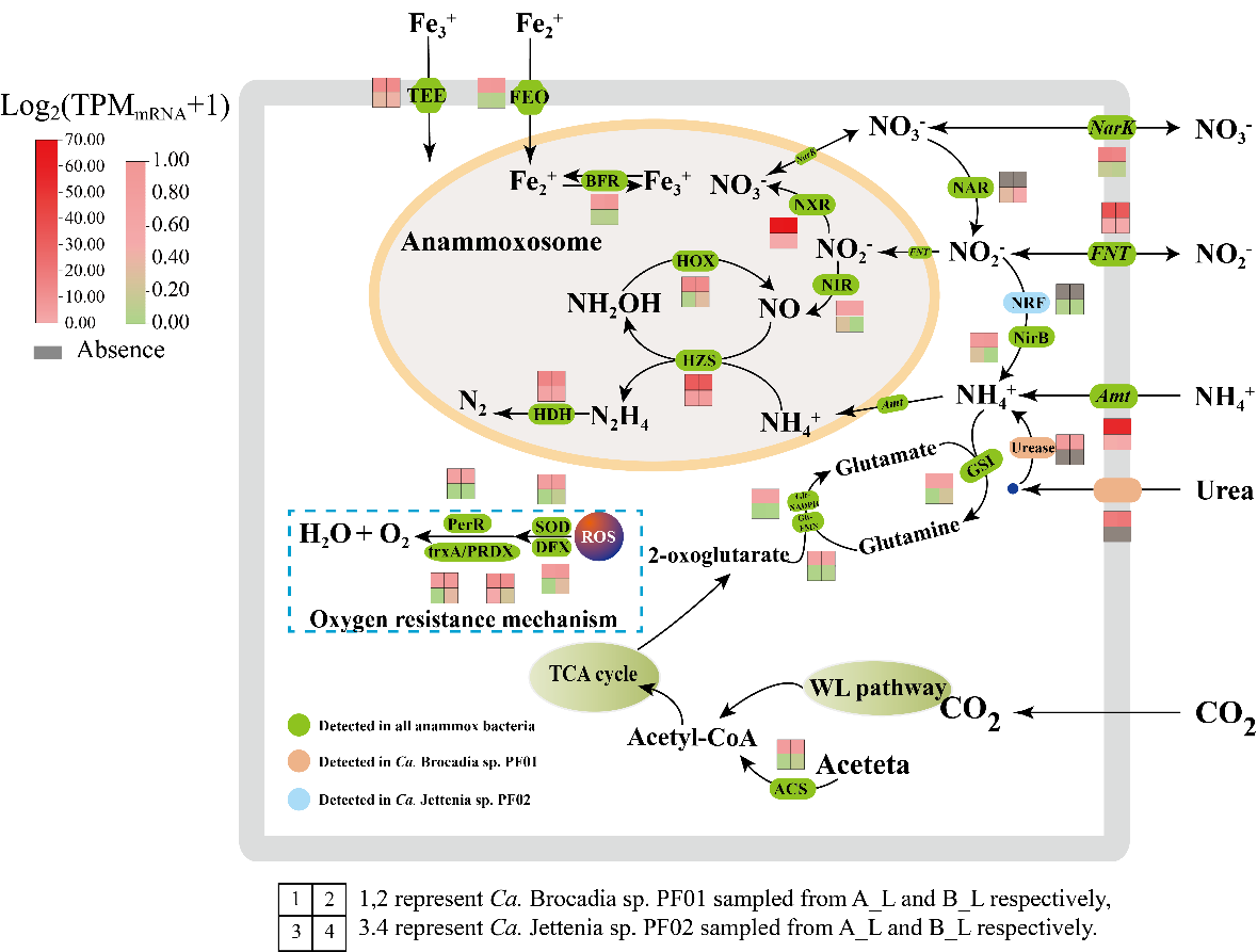 image-20230317115950-4