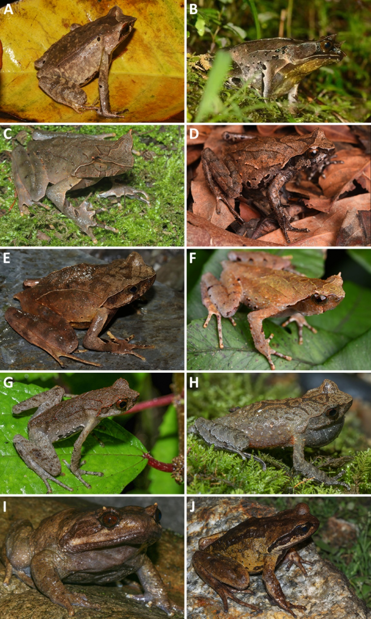 image-20230319001950-1