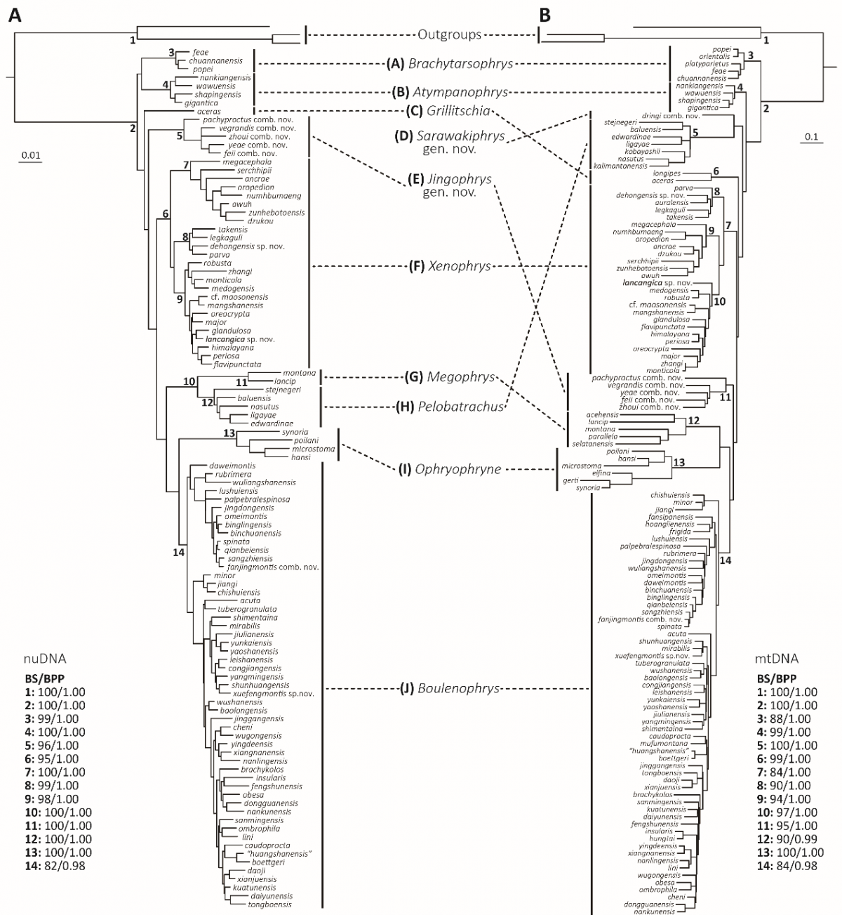 image-20230319001950-2