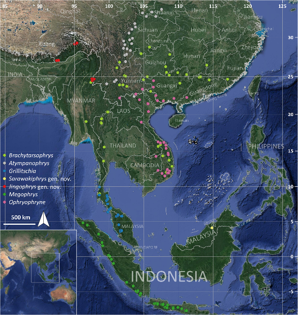 image-20230319001950-4