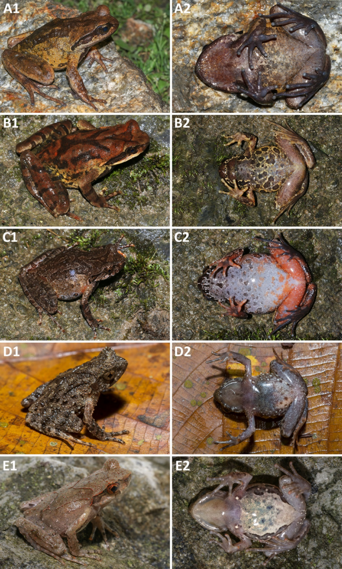 image-20230319001950-5