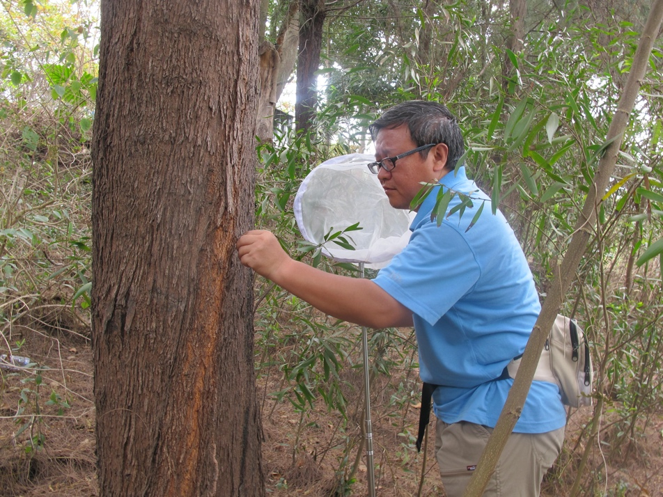 image-20230320155344-1