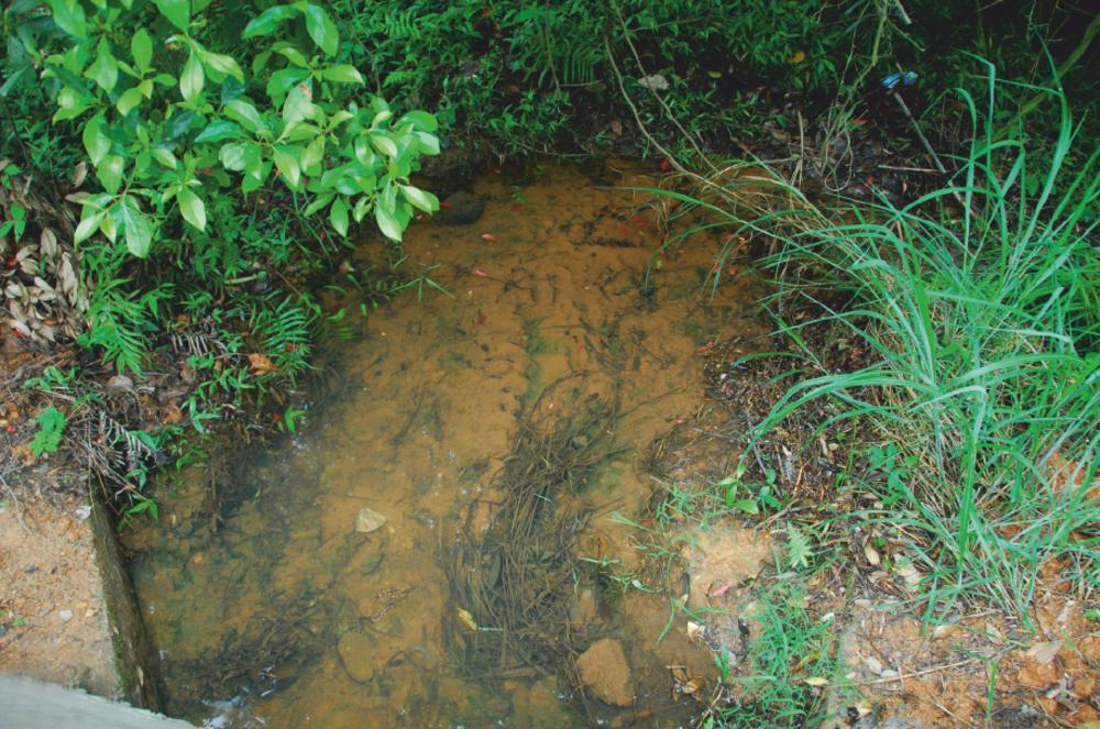 image-20230320155344-10