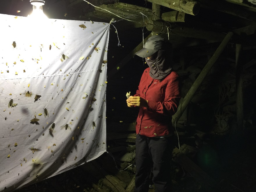 image-20230320155344-2