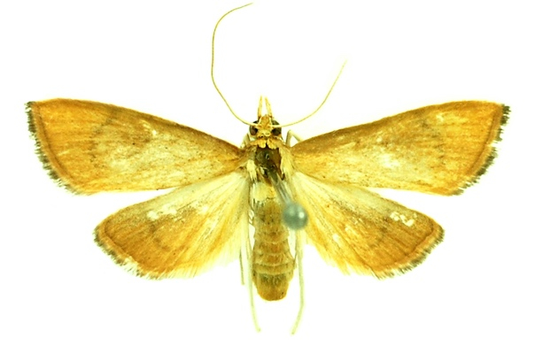 image-20230320155344-5