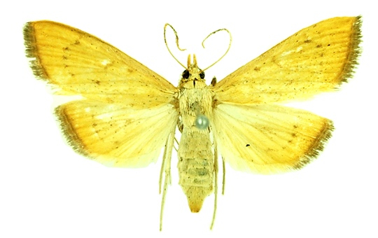 image-20230320155344-6