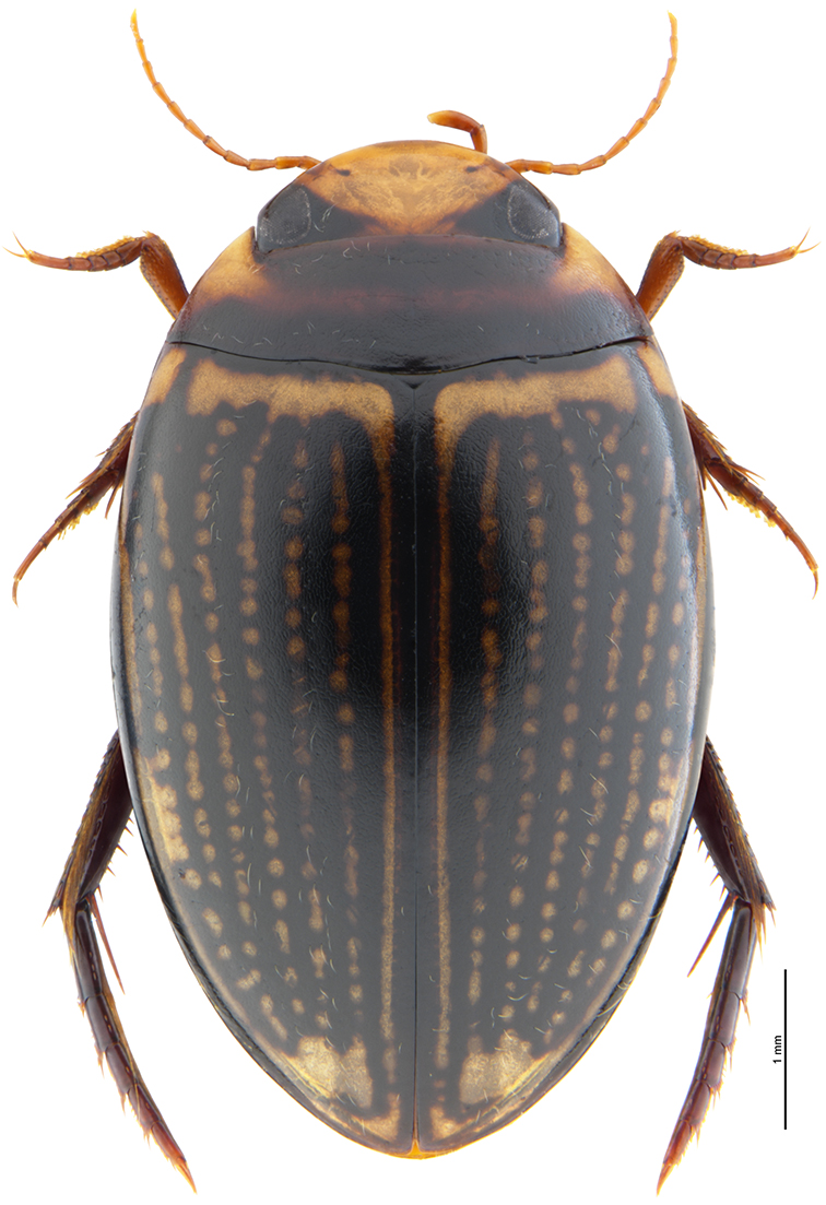 image-20230320155344-8