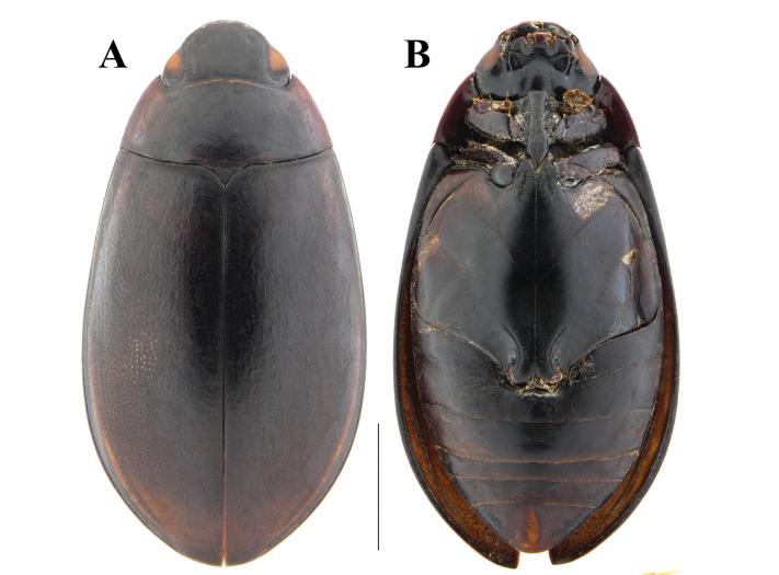 image-20230320155344-9