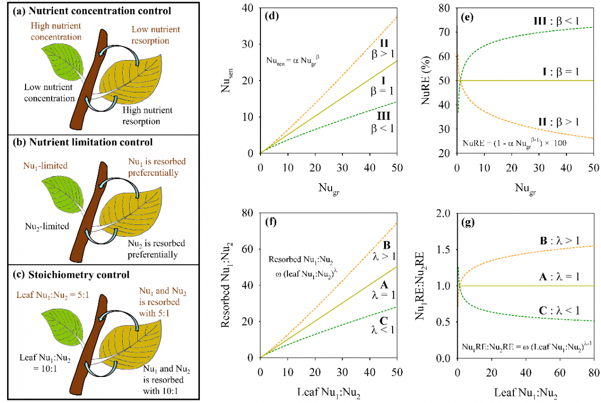 image-20230323083014-1