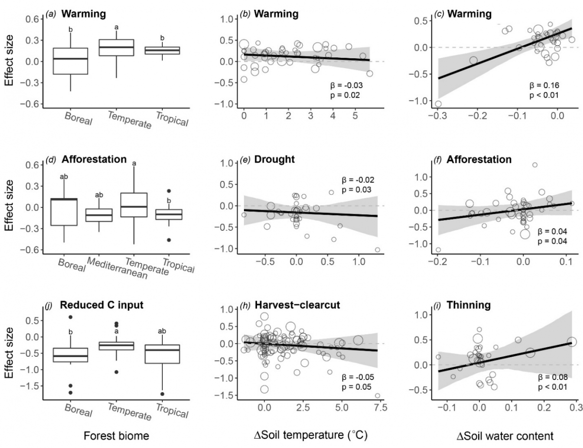 image-20230325232927-3