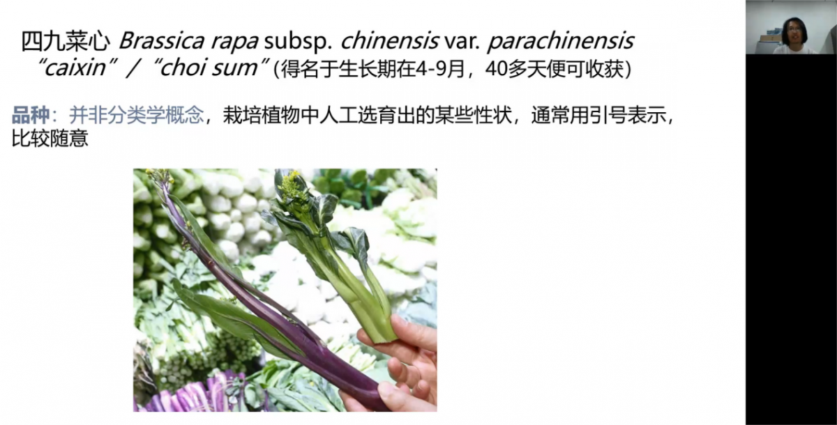 image-20230425154906-6