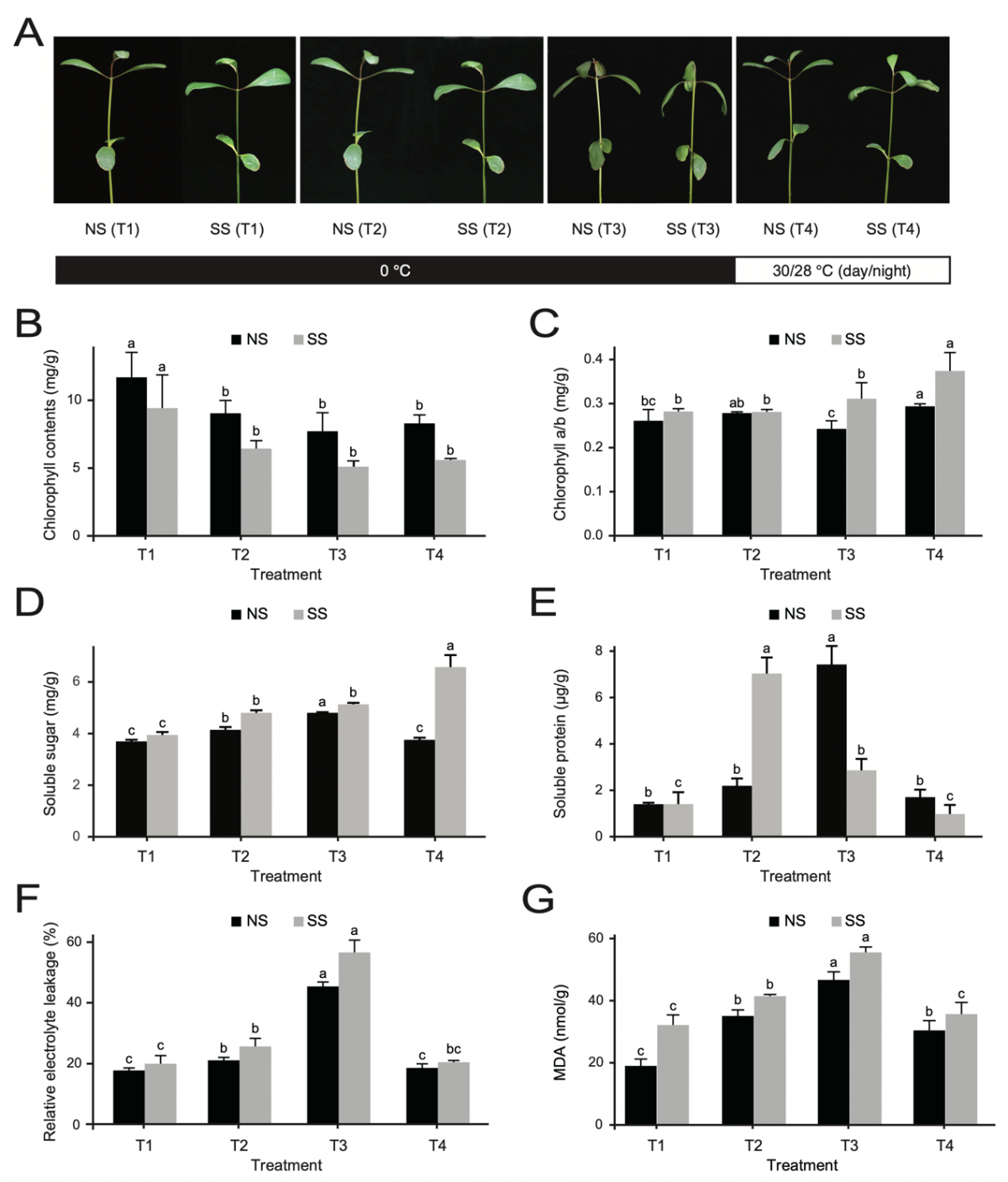 image-20230512102903-1