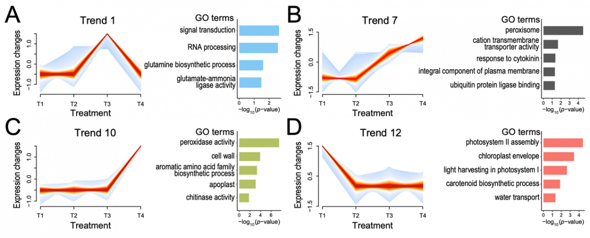 image-20230512102903-2