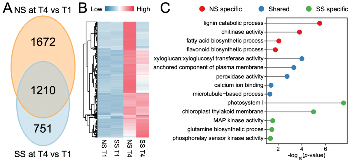 image-20230512102903-3