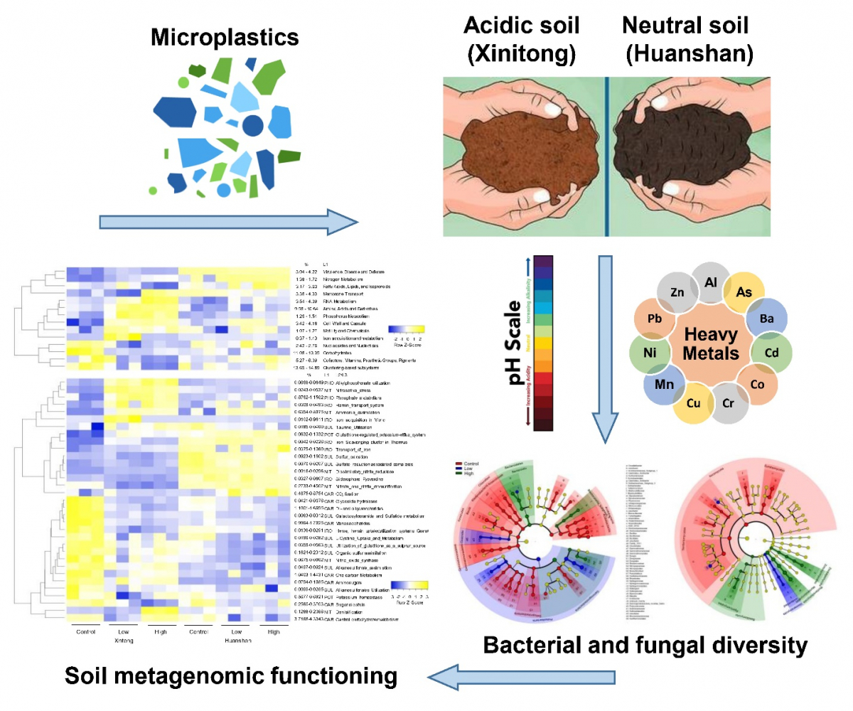 image-20230711153230-4