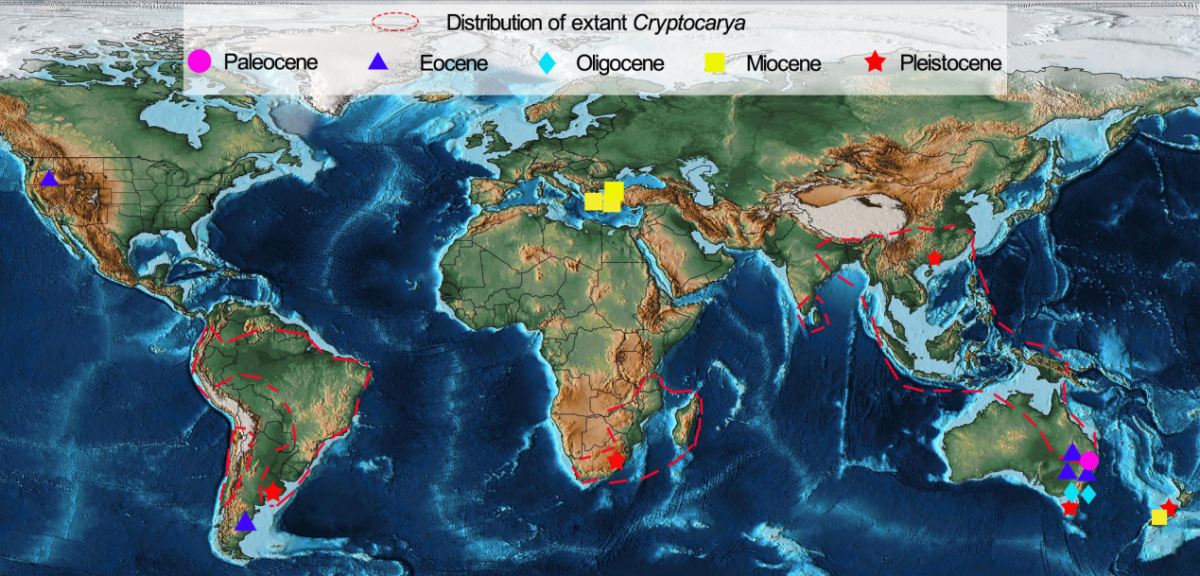 image-20230713103641-1