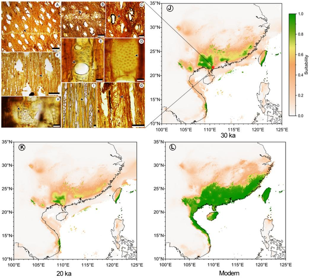 image-20230713103641-2