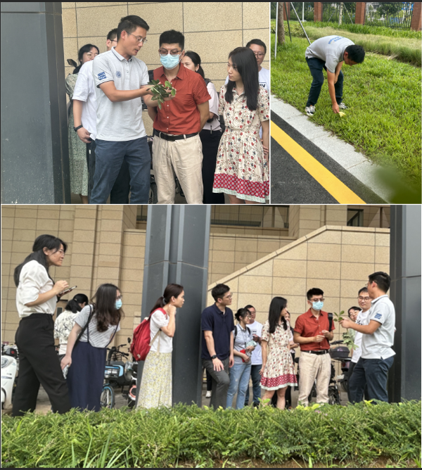 image-20230713110116-1