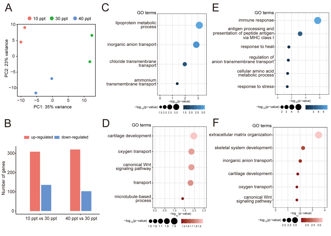 image-20230726142015-1