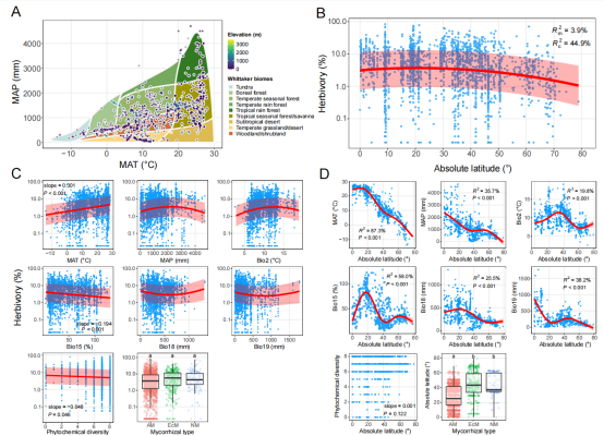 image-20230913090655-1