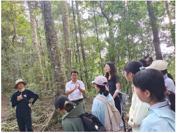 image-20231011093317-4