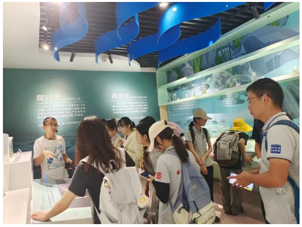 image-20231011093426-5