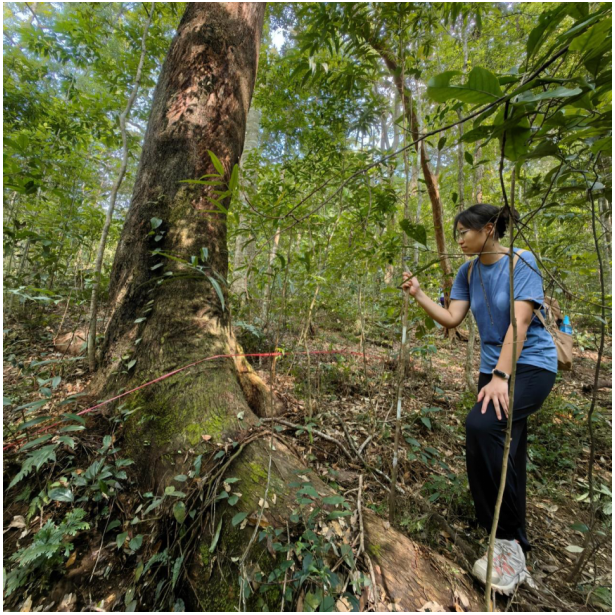 image-20231011093648-7