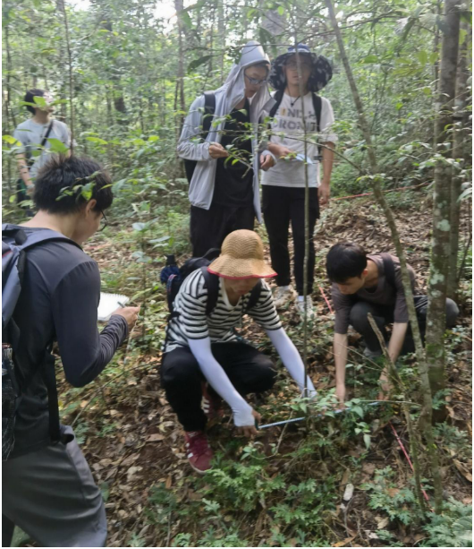 image-20231011093720-8