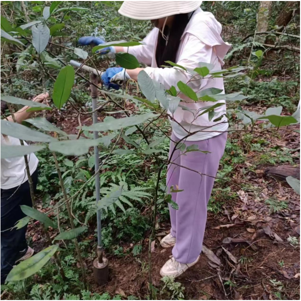 image-20231011093751-9